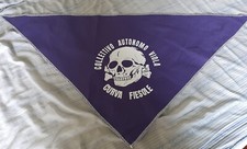 Collettivo autonomo viola usato  Firenze