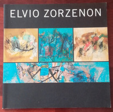 Elvio zorzenon enzo usato  Dolo