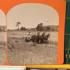 hay fields for sale hay fields for sale Birdsboro
