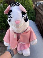 Glenis roland rats for sale  DROITWICH