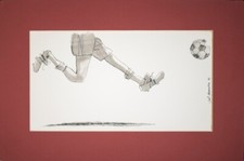 Joel alessandra illustrazione usato  Roma