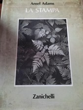 Ansel adams stampa usato  Sesto San Giovanni