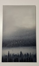 Canvas print wall for sale  Elizabeth