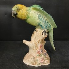 parakeet for sale parakeet for sale GRANTHAM