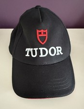 Tudor born dare for sale  LEIGHTON BUZZARD