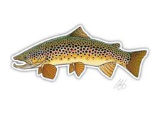 Brown trout fish for sale  Hummelstown