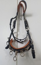 kappzaum gebraucht kaufen kappzaum gebraucht kaufen  Geesthacht
