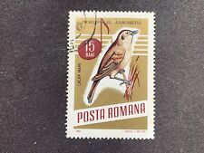 RUMANIA POSTA ROMANA 1966 PÁJAROS CANTORES 15B YEGUA LACAR ACROCEPHALUS ARUNDINACEUS FU segunda mano  Embacar hacia Argentina