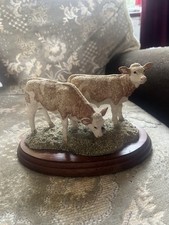 calves for sale calves for sale BALLYNAHINCH