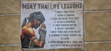 Muay thai plaque d'occasion  Amou