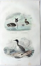 Edouard travies 1848 d'occasion  Beaufort-en-Vallée