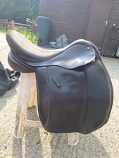 Native pony comfort for sale  KIDDERMINSTER