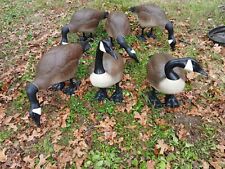 Goose decoys for sale  Mountain Home