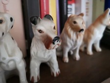 Gruppo cani ceramica usato  Novara