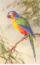 Illustrator klein parrot d'occasion  Expédié en Belgium