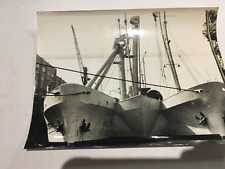 Gloria siderum heavy for sale  SKIPTON