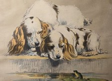 Vintage framed dog for sale  Dale