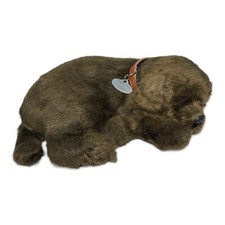 Perfect petzzz chocolate for sale  Scotts Valley