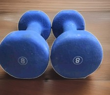 Lb. dumbbells pair for sale  Yonkers