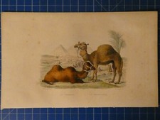 Druck publié par gebraucht kaufen Druck publié par gebraucht kaufen  Oldenburg (Oldenburg)