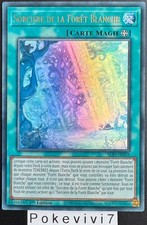 Card witch the d'occasion  Expédié en Belgium