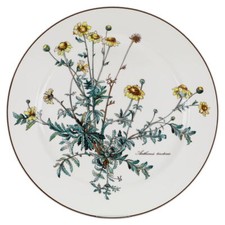 Speiseteller groß anthemis gebraucht kaufen  Kappeln