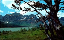 Usado, Cartão postal Sheburne Lake, GLACIER NATIONAL PARK, Montana - H.S. Crocker comprar usado  Enviando para Brazil