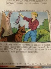 Fig. rin tin usato  Firenze