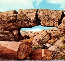 Wood log arch for sale  San Antonio