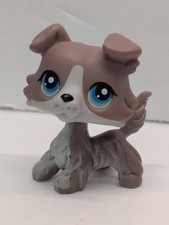 Lps littlest pet for sale  Livermore