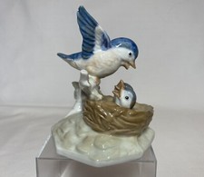 Blue bird feeding for sale  NORTHAMPTON