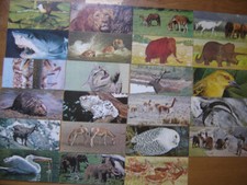 NESTLE Les Merveilles du Monde LOT de 23 cartes ANIMAUX comprar usado  Enviando para Brazil