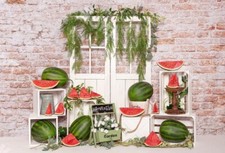 Kate backdrop photography for sale  Glenville