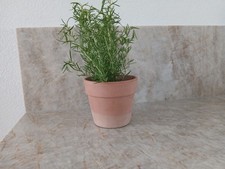 Terracotta blumentopf übertop gebraucht kaufen  Steinheim am Albuch