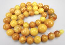 Lovely baltic butterscotch for sale  Dallas
