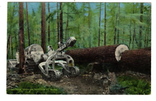 Logging tractor cat for sale  Greenfield