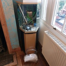 hexagonal fish tank for sale hexagonal fish tank for sale CRADLEY HEATH