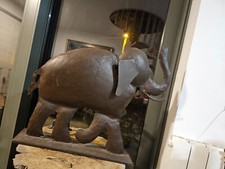 Grand éléphant fer d'occasion  Baisieux