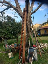 Scala doppia legno usato  Sorbolo Mezzani