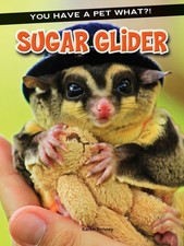 Sugar glider for sale Sugar glider for sale  North Smithfield