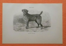 Airedale terrier holzstich gebraucht kaufen  Lauenburg/ Elbe