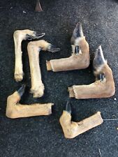 Taxidermie support fusil d'occasion  Lescar