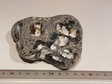 Natural hag stone for sale  HUDDERSFIELD