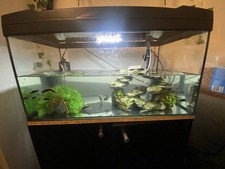 Aquarium fish tank for sale  WALSALL