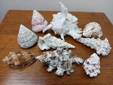 Bundle nine different for sale Bundle nine different for sale  WALSALL