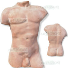 Statua torso terracotta usato  Italia
