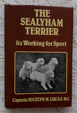 Sealyham terrier working for sale  LONDON