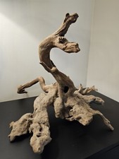Large driftwood for d'occasion  Expédié en Belgium