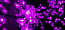 6ft led cherry for sale  BRADFORD