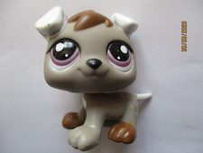 Petshop bebe chien d'occasion  Bailleul